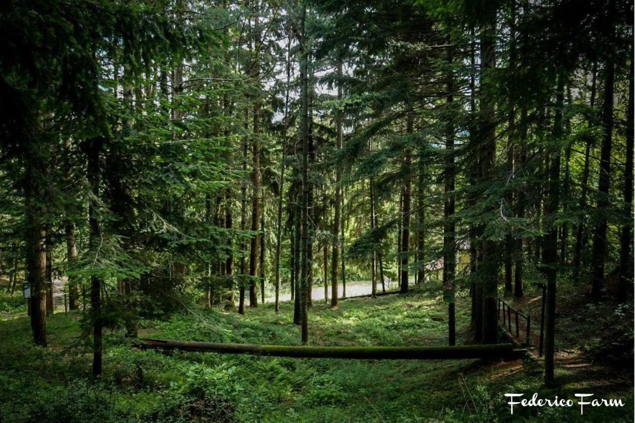 Camping Grondola - Federicofarm Понтремолі Екстер'єр фото