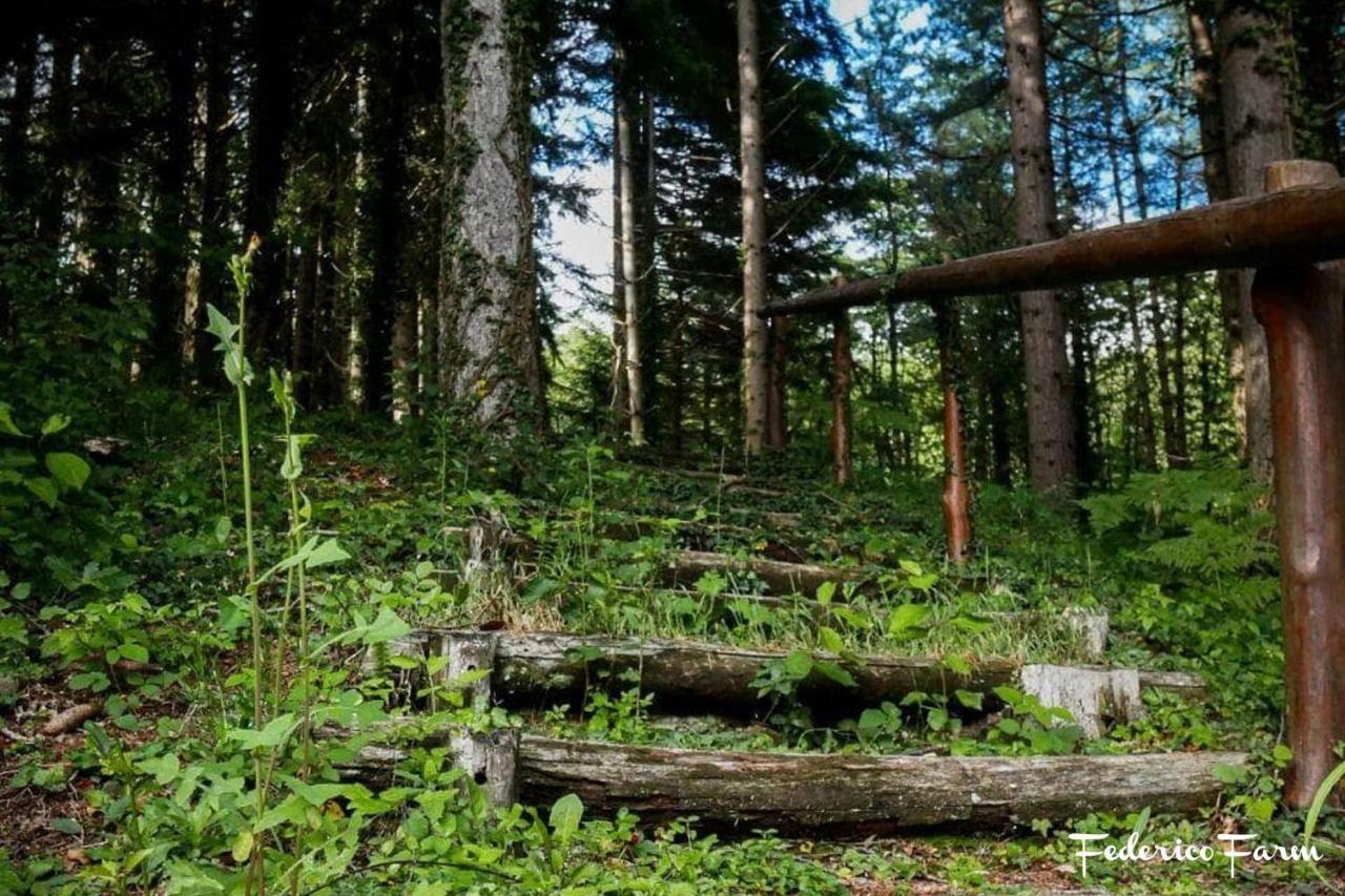 Camping Grondola - Federicofarm Понтремолі Екстер'єр фото